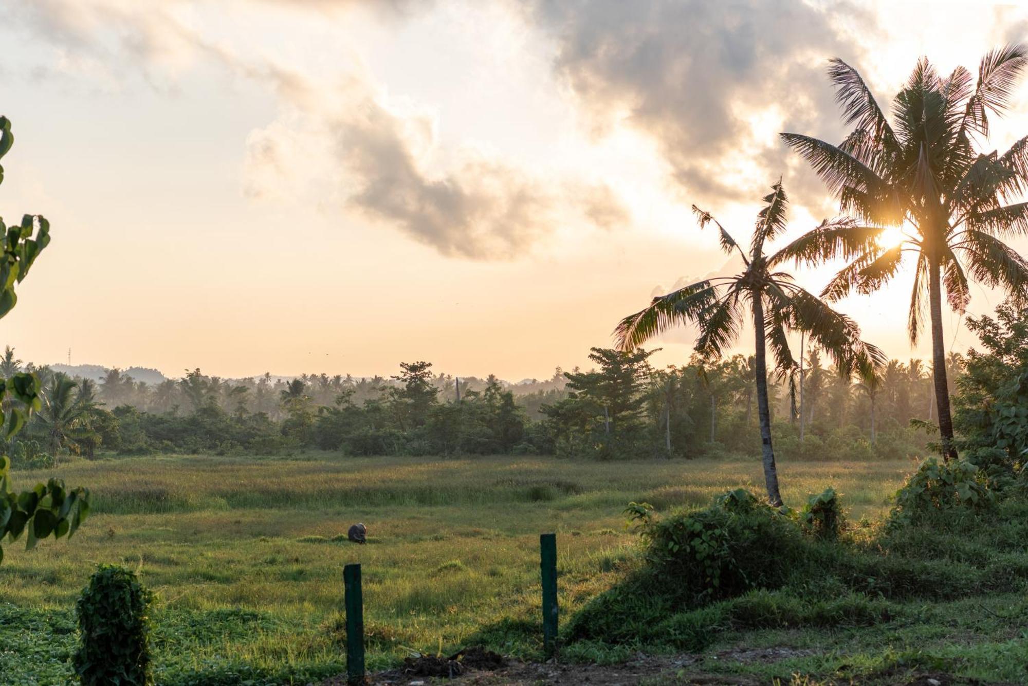 The Hillside Resort Siargao General Luna  Ngoại thất bức ảnh