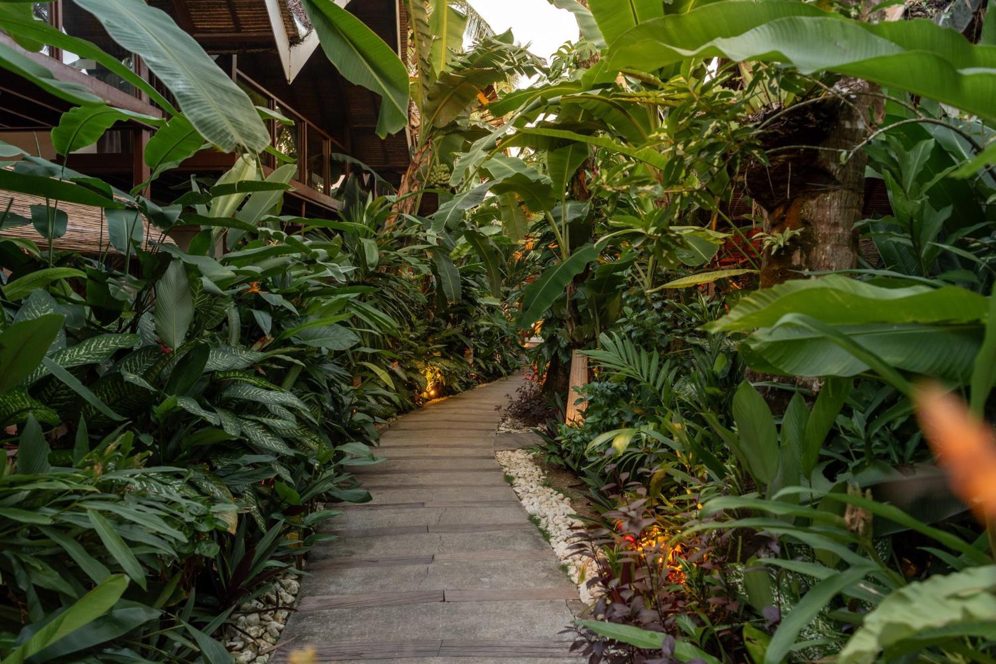 The Hillside Resort Siargao General Luna  Ngoại thất bức ảnh