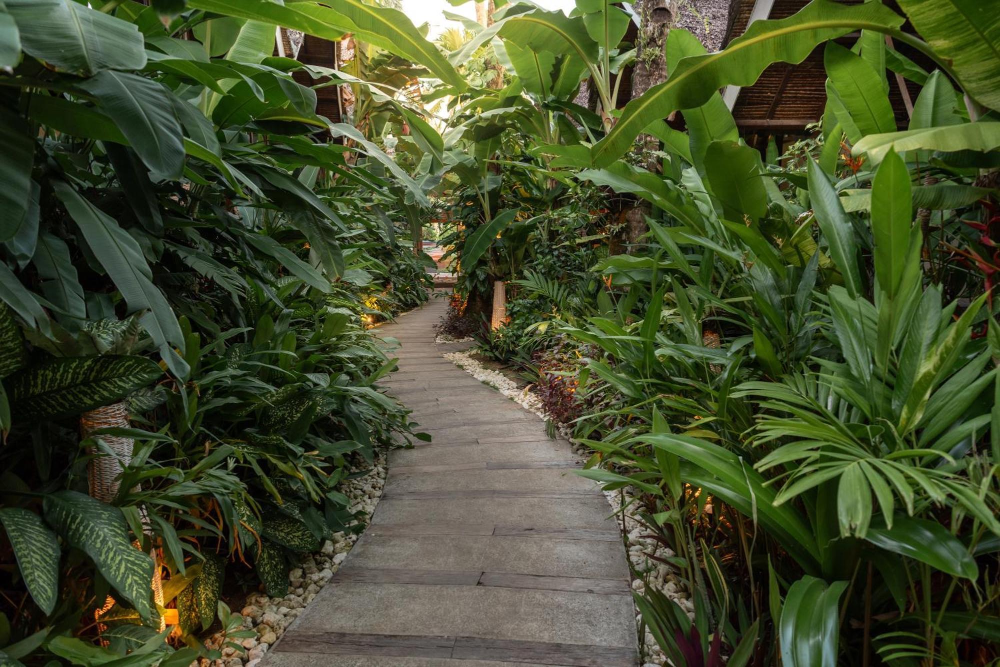The Hillside Resort Siargao General Luna  Ngoại thất bức ảnh