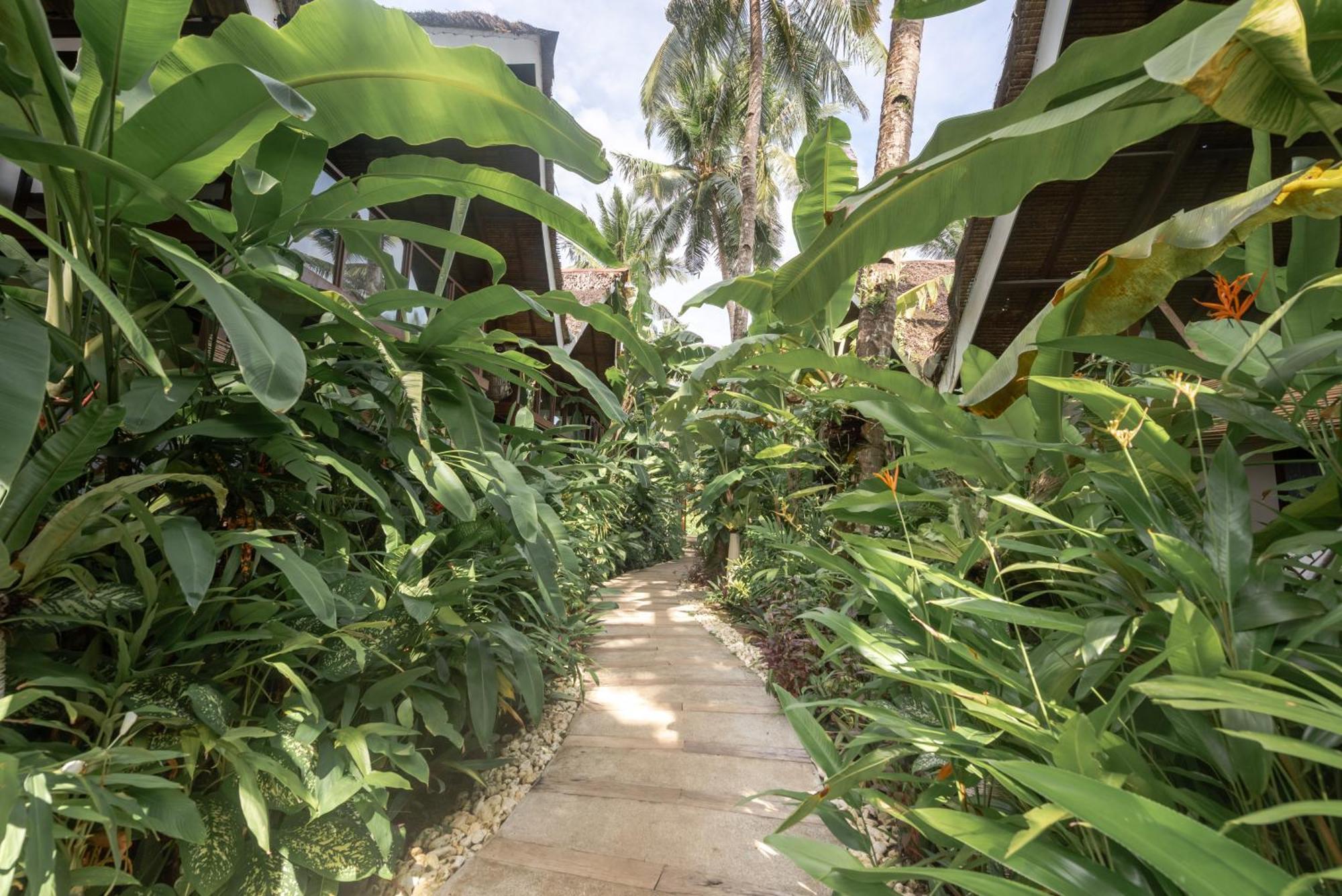 The Hillside Resort Siargao General Luna  Ngoại thất bức ảnh